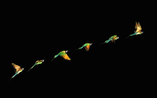 467003 (a): :1920x1200